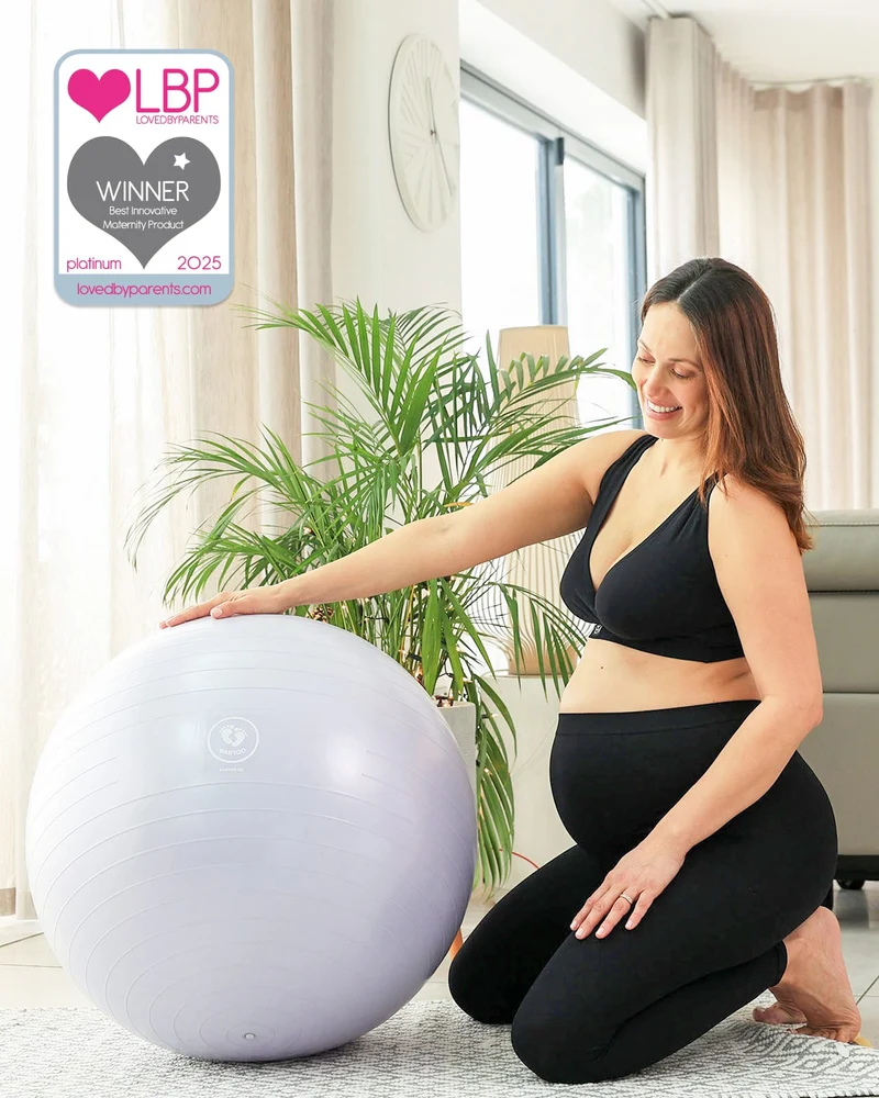 BABYGO® Geburtsball Altes Logo