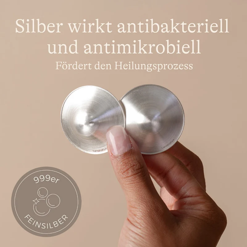 Silberhütchen