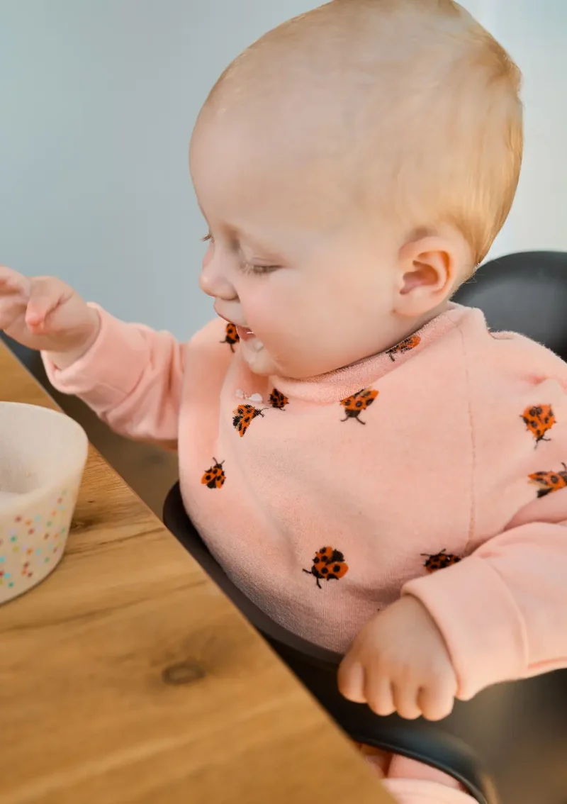 Frottee Ärmellätzchen 'Boo' Love Bugs
