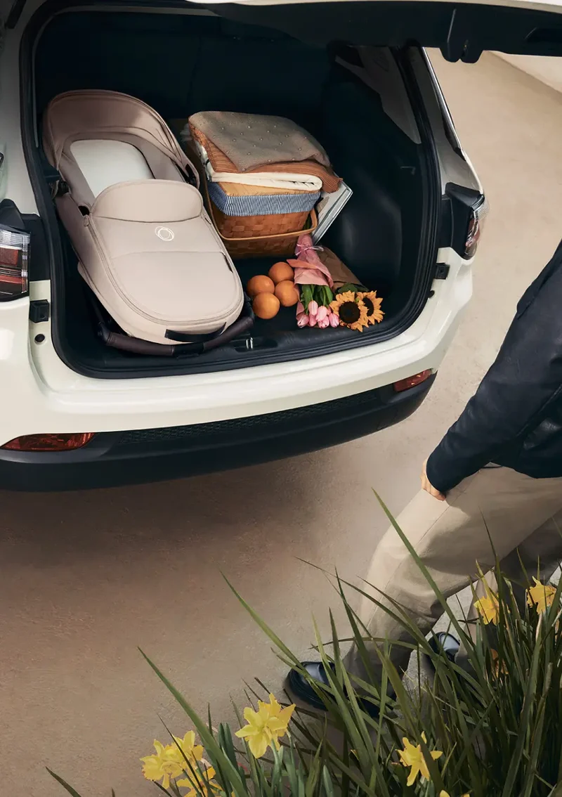 Babywanne für Kinderwagen 'Dragonfly Plus'