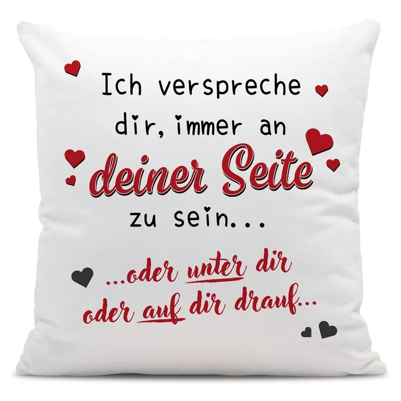 Kissen - Immer an Deiner Seite... oder unter Dir oder auf Dir drauf.