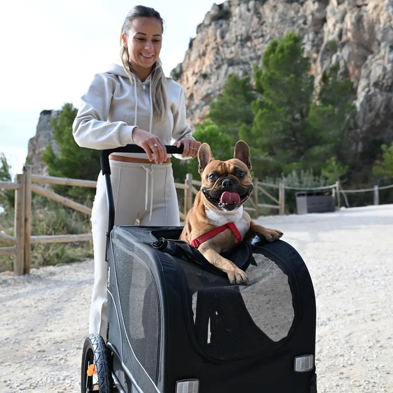 Hundefahrradanhänger