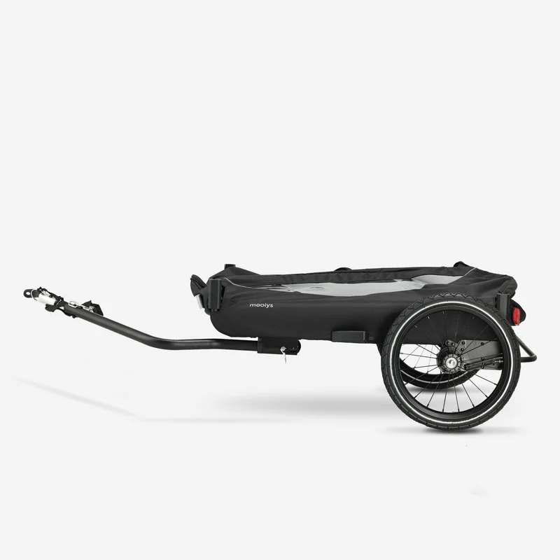 Luxe Fietskar 2 persoons - Zwart