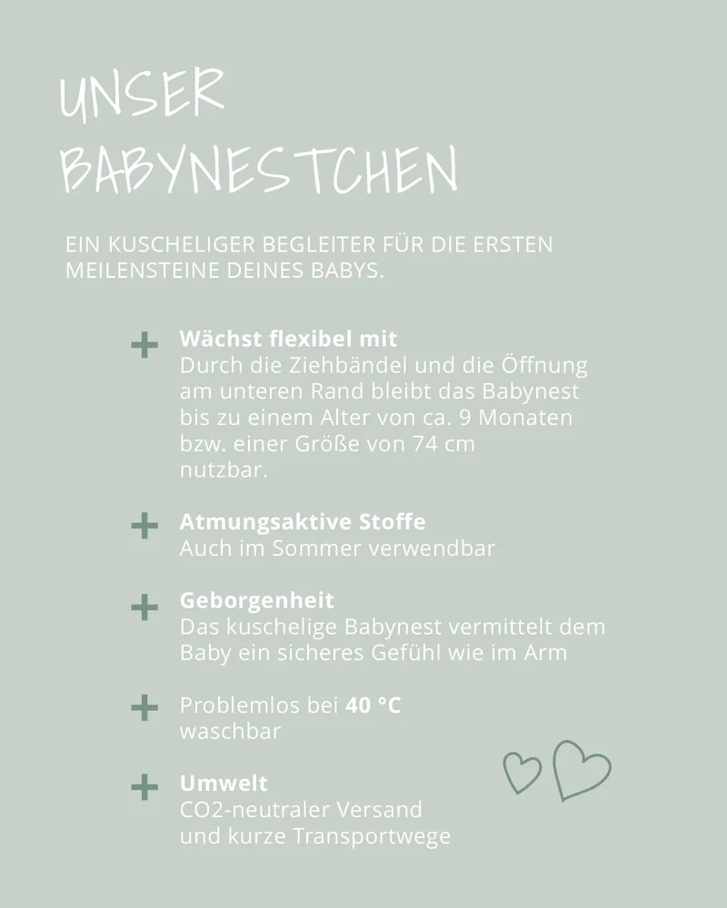 Babynest Classic Blau