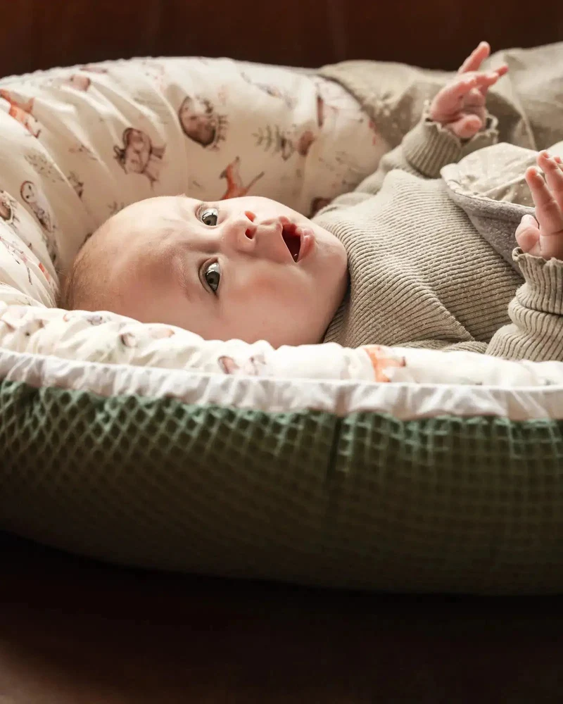 Babynest Waldfreunde