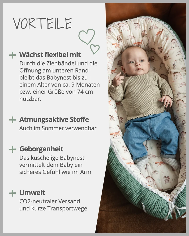Babynest Waldfreunde