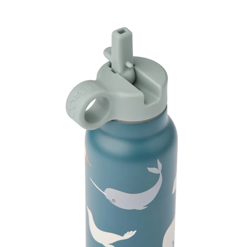 Wasserflasche "Falk Arctic Sea / Ocean view"